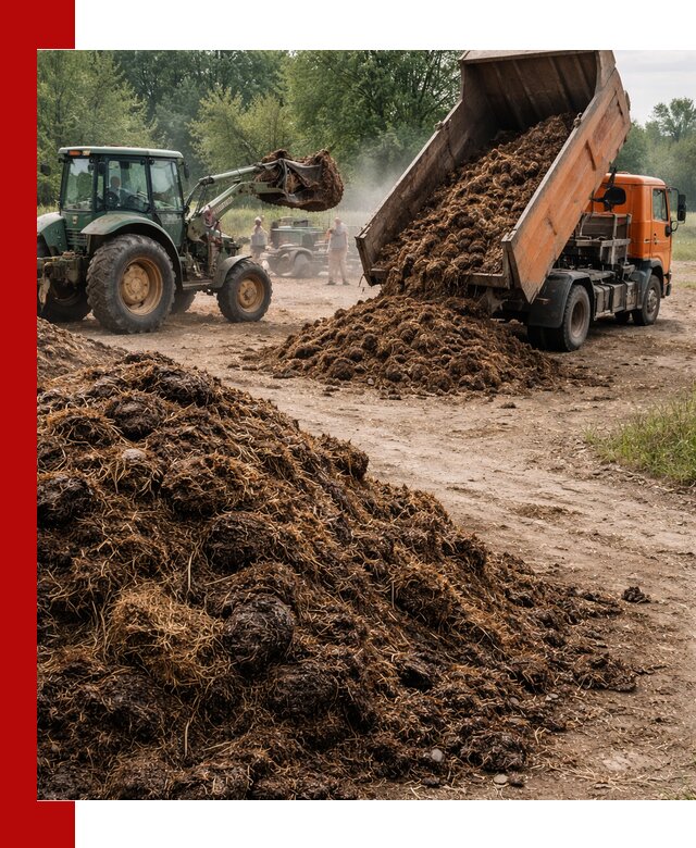 Доставка навоза самосвалами в Мирном для сельхозпотребностей
